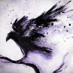 ✧ Raven ✧
